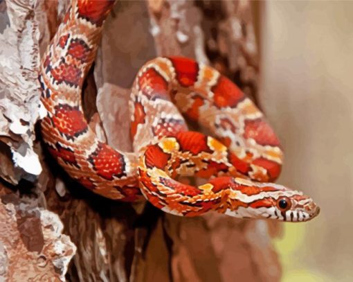 Okeetee Corn Snake Diamond Paintings