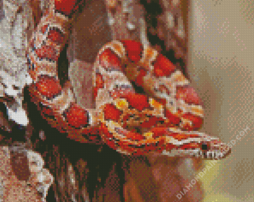 Okeetee Corn Snake Diamond Paintings