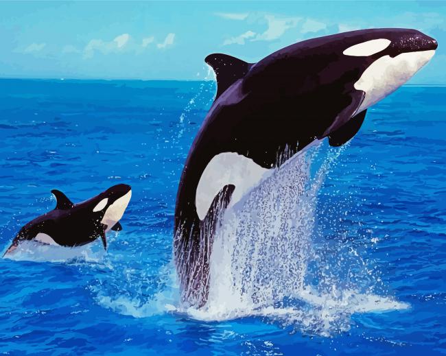 Orcas Diamond Paintings