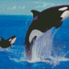 Orcas Diamond Paintings