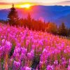 Pink Flowering Landscape Diamond Paintings