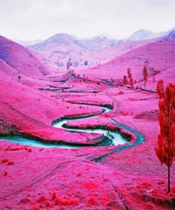 Pink Landscape Diamond Paintings