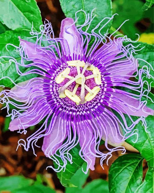 Purple Passion Flower Diamond Paintings