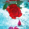 Red Rose Flower In Water Diamond Paintings