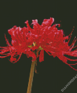 Red Spider Lily Flower Diamond Paintings