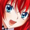 Rias Gremory Anime Character Diamond Paintings