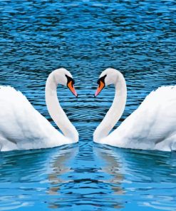 Romantic Swans Birds In Water Diamond Paintings