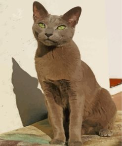 Russian Blue Cat Diamond Paintings