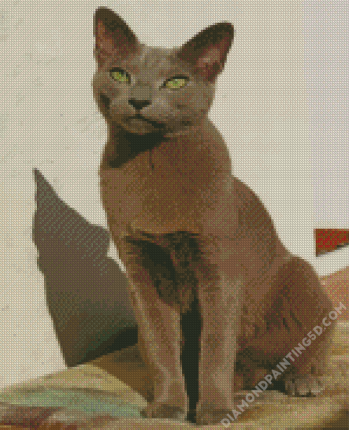 Russian Blue Cat Diamond Paintings