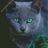 Russian Blue Cat Pet Diamond Paintings