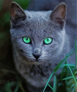 Russian Blue Cat Pet Diamond Paintings