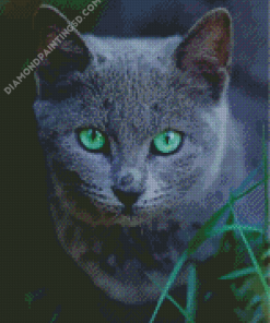 Russian Blue Cat Pet Diamond Paintings