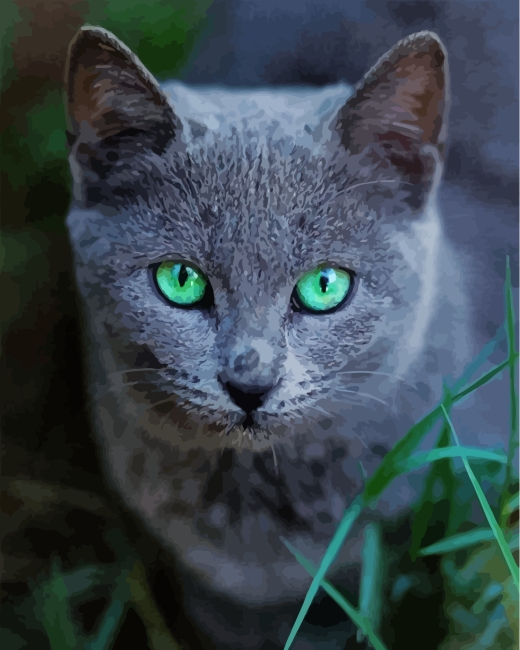 Russian Blue Cat Pet Diamond Paintings