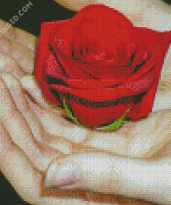 Giving A Rose On Hand Diamond Paintings