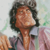 Michael Landon Charicature Diamond Paintings