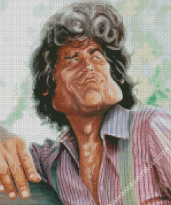 Michael Landon Charicature Diamond Paintings