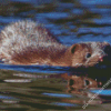 Mink Swimming Diamond Paintings