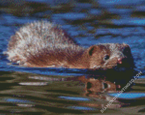 Mink Swimming Diamond Paintings