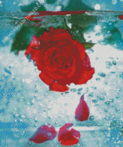 Red Rose Flower In Water Diamond Paintings