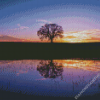 Silhouette Tree By Water At Sunset aDiamond Paintings