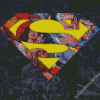 Superman Symbol Pop Art Diamond Paintings