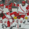 Wisconsin Badgers Hockey Team Diamond Paintings