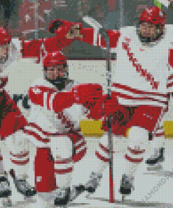 Wisconsin Badgers Hockey Team Diamond Paintings