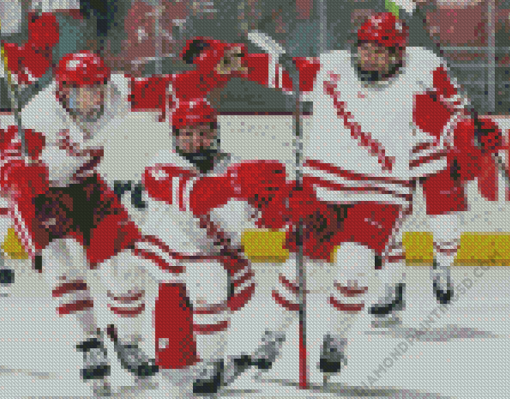 Wisconsin Badgers Hockey Team Diamond Paintings