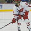 Wisconsin Badgers Woman Hockey Player Diamond Paintings