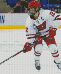 Wisconsin Badgers Woman Hockey Player Diamond Paintings