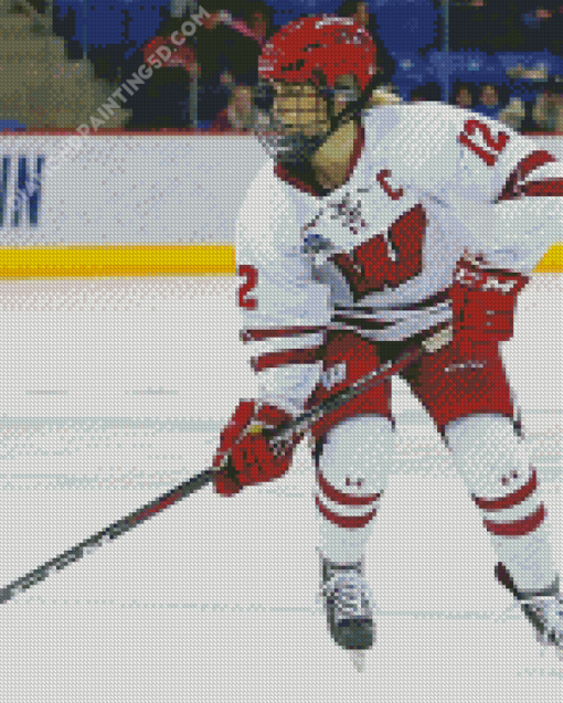 Wisconsin Badgers Woman Hockey Player Diamond Paintings