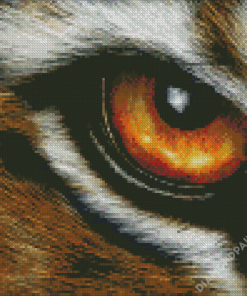 Aesthetic Tiger Eyes Art Diamond Paintings