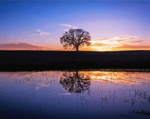 Silhouette Tree By Water At Sunset aDiamond Paintings