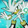 Silver The Hedgehog Cartoon Diamond Paintings