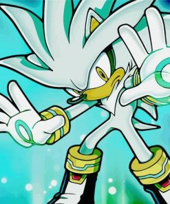 Silver The Hedgehog Cartoon Diamond Paintings