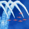 Snowbirds Show Diamond Paintings