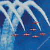 Snowbirds Show Diamond Paintings