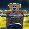 Teddy Bear On Bike Diamond Paintings