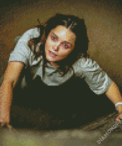 The Silence of The Lambs Movie Character Diamond Paintings