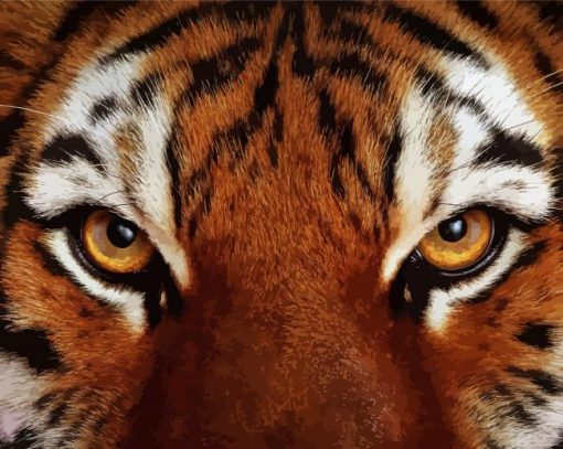 Tiger Eyes Animal Diamond Paintings