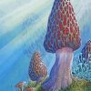 True Morel Art Diamond Paintings