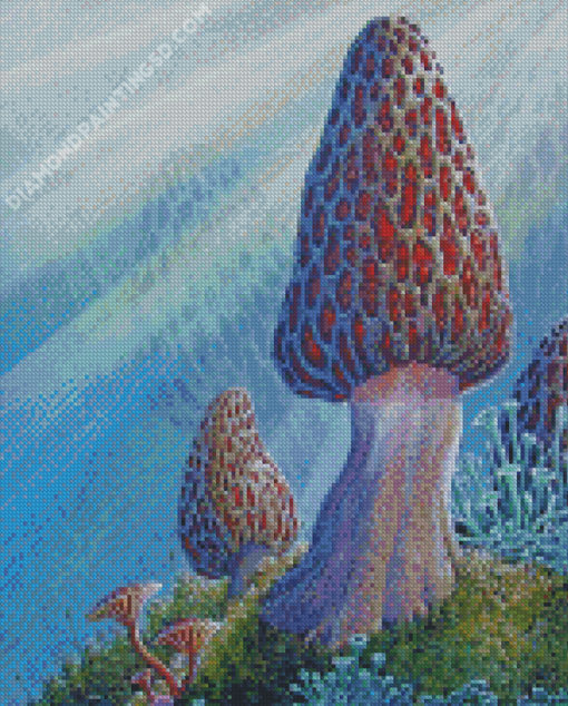 True Morel Art Diamond Paintings