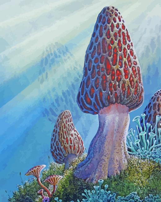 True Morel Art Diamond Paintings