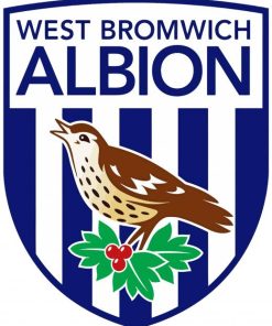 West Bromwich Albion Diamond Paintings