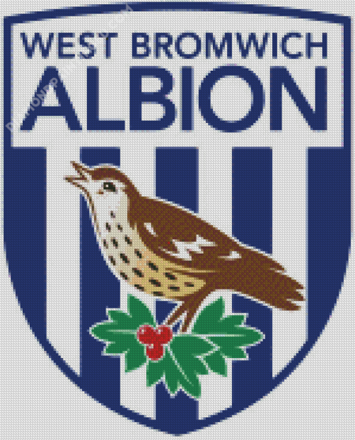 West Bromwich Albion Diamond Paintings