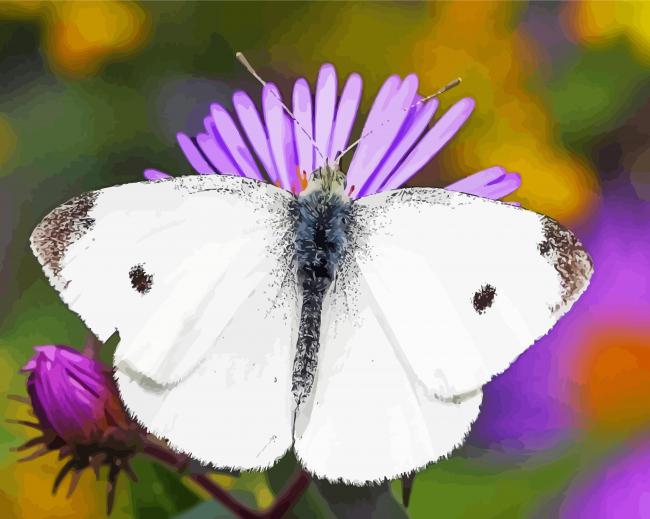 White Butterfly Art Diamond Paintings