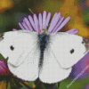 White Butterfly Art Diamond Paintings