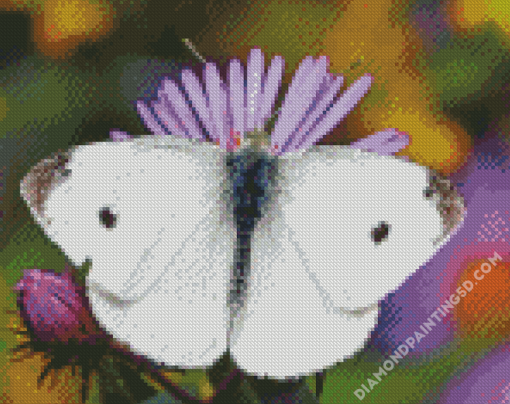 White Butterfly Art Diamond Paintings