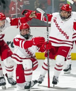 Wisconsin Badgers Hockey Team Diamond Paintings