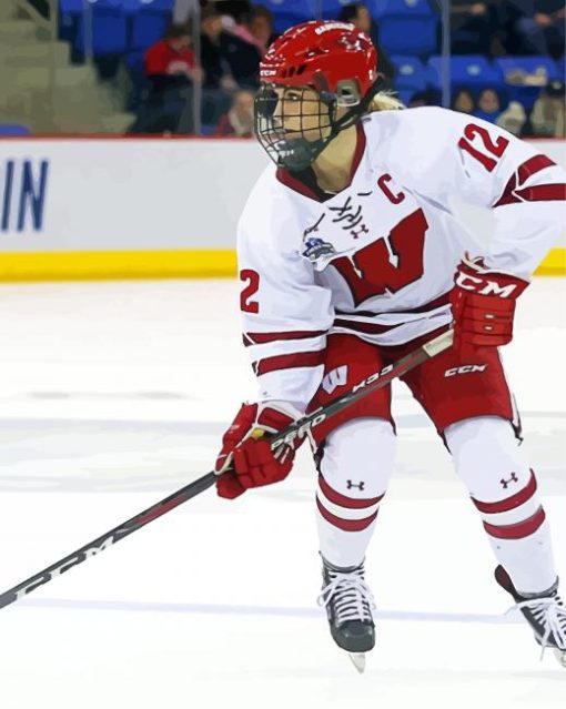 Wisconsin Badgers Woman Hockey Player Diamond Paintings